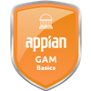 Academy Skill - Appian GAM Skill Badge