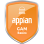 Academy Skill - Appian GAM Skill Badge