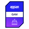 Academy Skill - Appian GAM Skill Badge