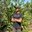 gersond0001
