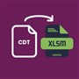 CDT to XLSM