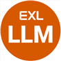 EXL Insurance LLM