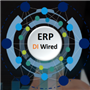 ERP Digital Intelligence (DI) Wired