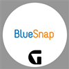 BlueSnap Hosted Payment Framework